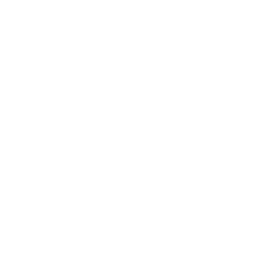 Private Security Firms